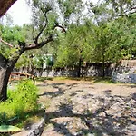Irma Penzion 3*