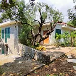 Irma Penzion 3*
