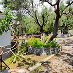 Irma Penzion