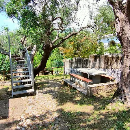 Πανσιόν Irma Marina di Camerota