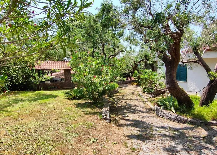 Irma Guest house