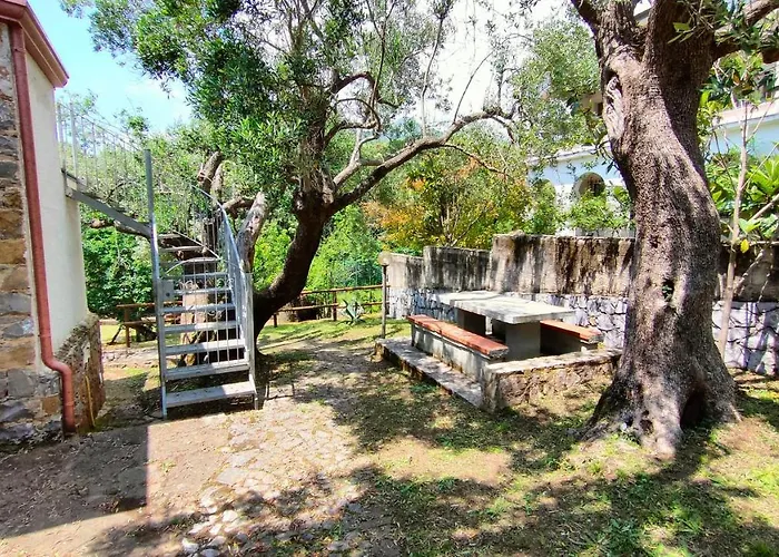 Gasthof Irma Marina di Camerota